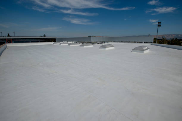 Roof Coating Services in Cody, WY